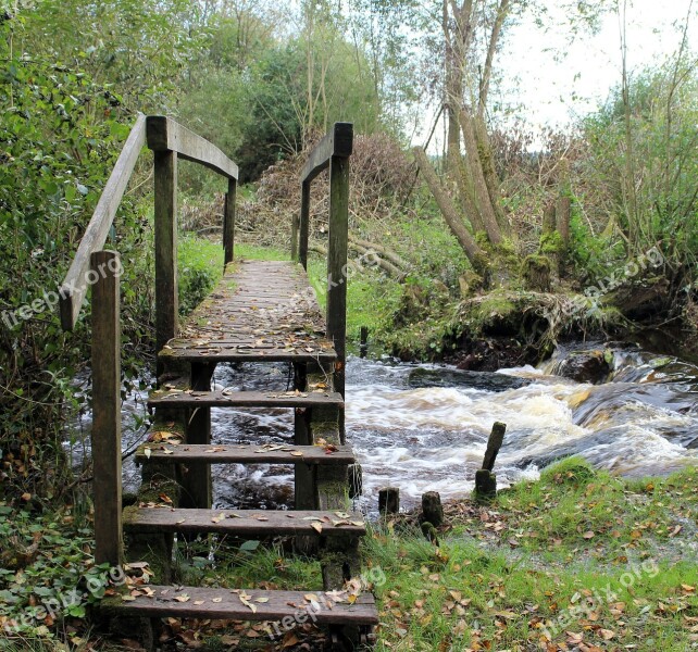 Transition Web Bridge Boardwalk Wooden Bridge