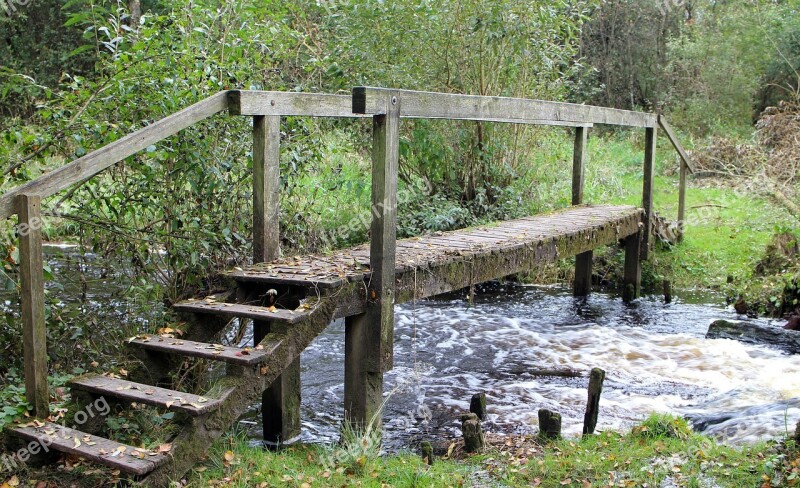 Transition Web Bridge Boardwalk Wooden Bridge