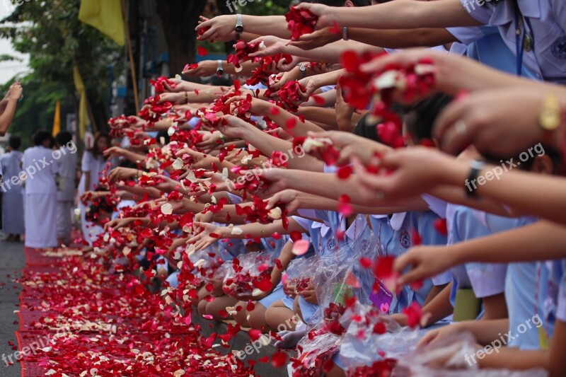 Buddhists Rose Petals Ceremony People Peace