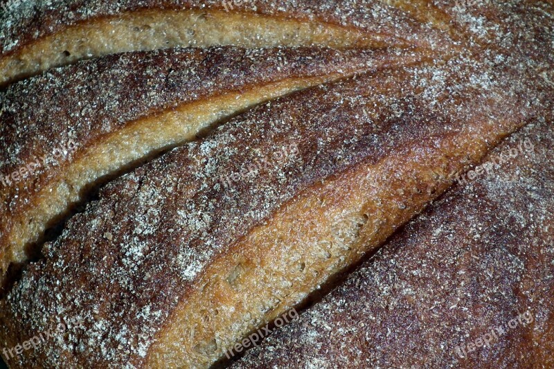 Rye Bread Food Baking Brown Delicious