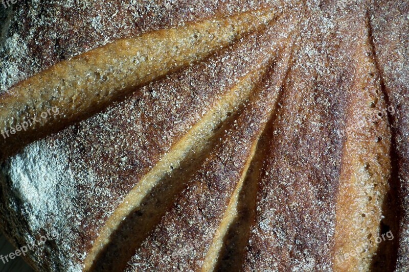 Rye Bread Food Baking Brown Delicious