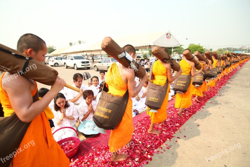 Buddhists Monks Meditate Walk Rose Petals