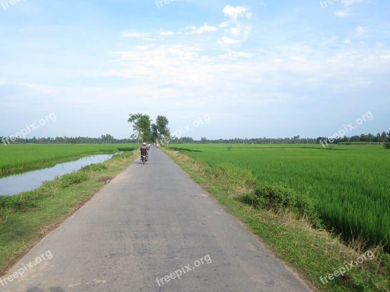 Country Lane Country Road Nature Rustic Countryside