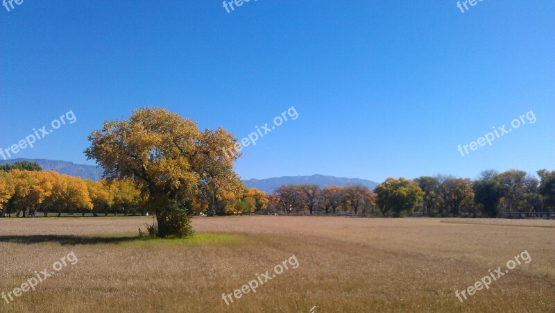 Field In Fall Albuquerque Open Space Nature