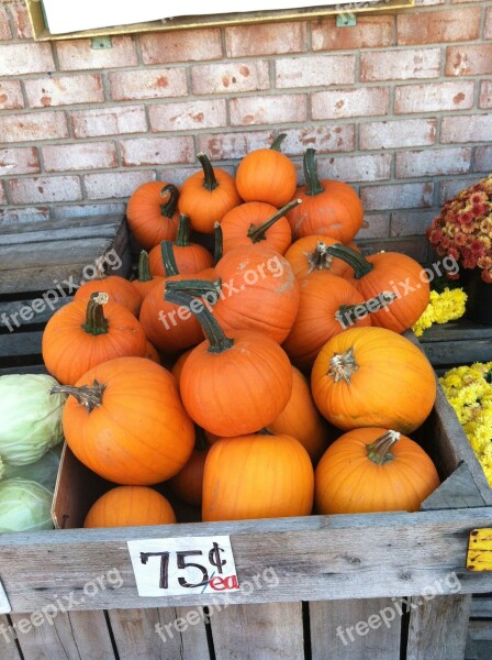 Pumpkins Fall Autumn Orange Halloween