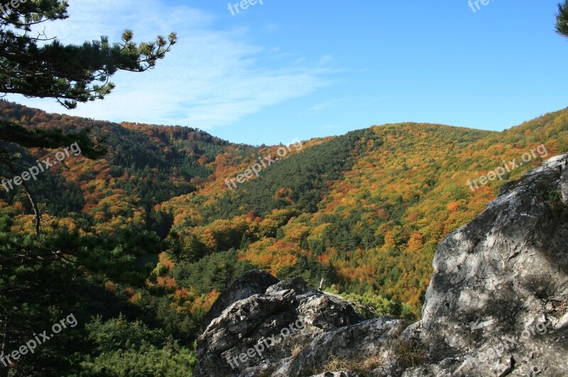 Autumn Mood Rock Autumn Nature Forest