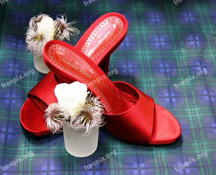 Shoes Red Girl Woman Female