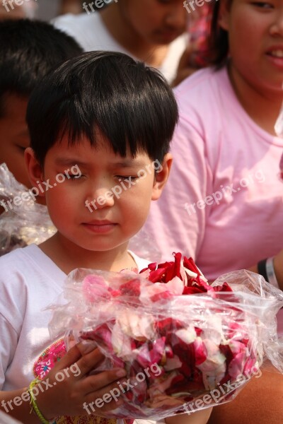 Buddhists Rose Petals Children Monks Tradition