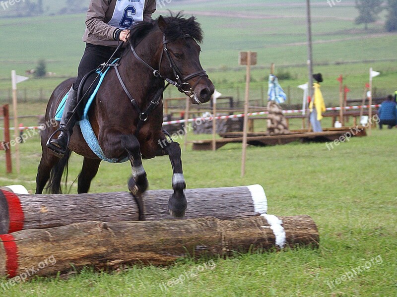 Riding The Horse Jumping Obstacle Course Obstacle