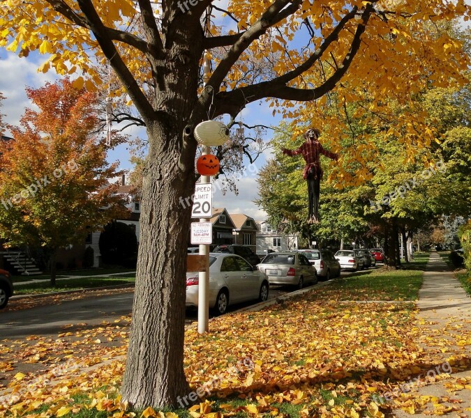 Autumn Street Foliage Tree Ornaments