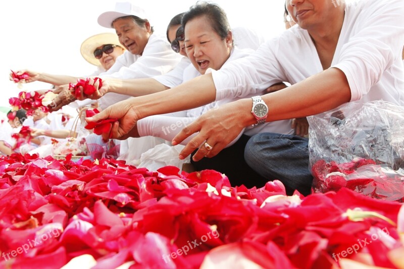 Rose Petals Thai Thailand Ceremony Buddhism