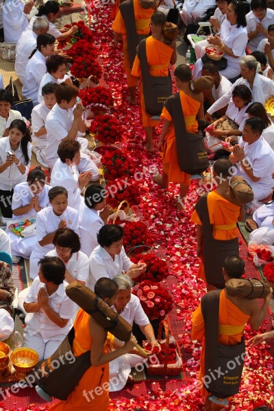 Buddhists Monks Buddhism Walk Orange