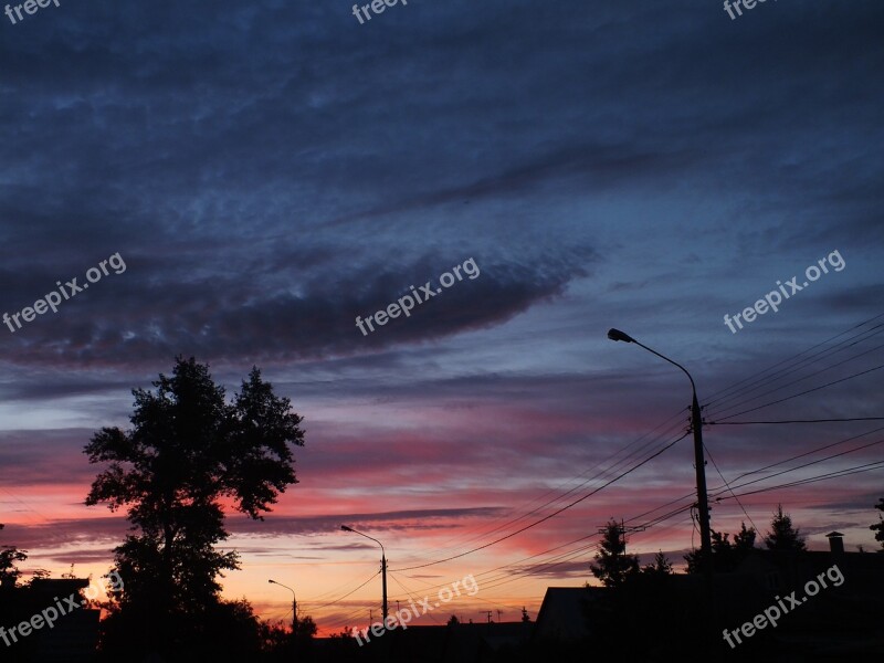 Dawn The Urban Landscape Morning Tree Clouds