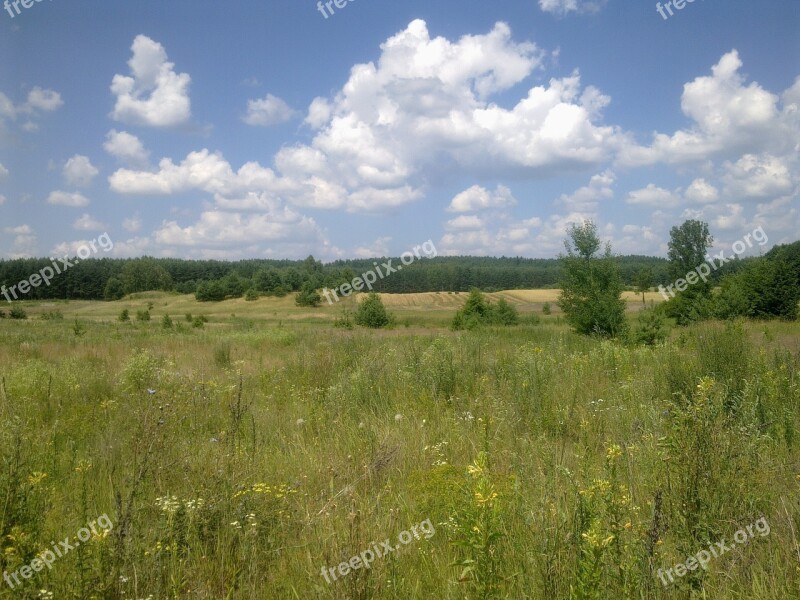 Field Village Agriculture Summer Poland