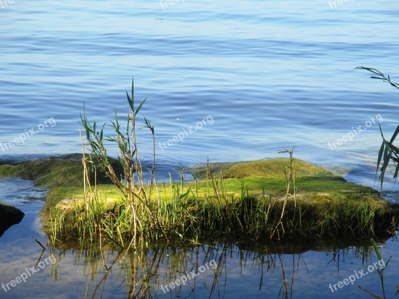 Moss Lake Water Blue Stone