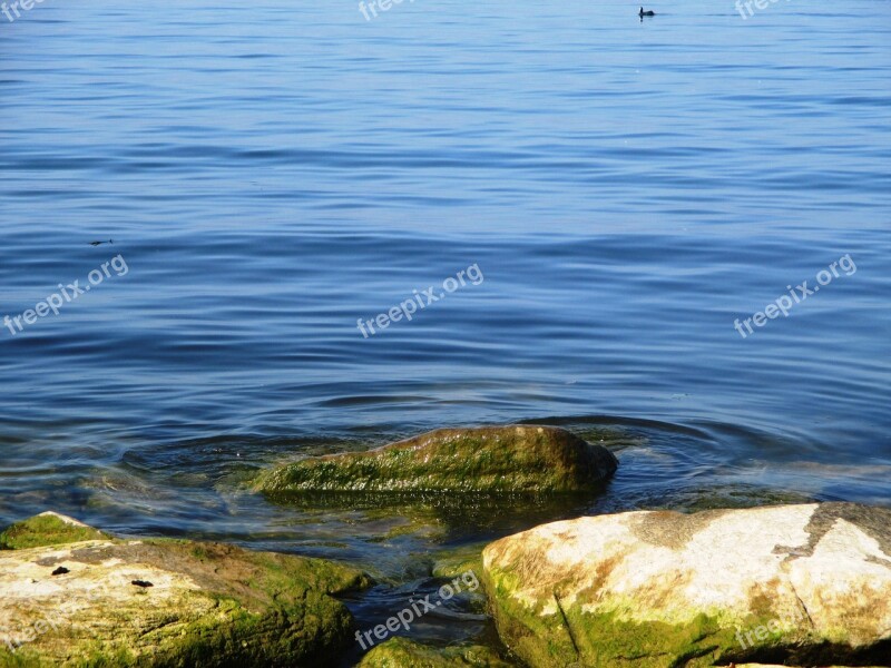 Lake Water Blue Stones Lapped