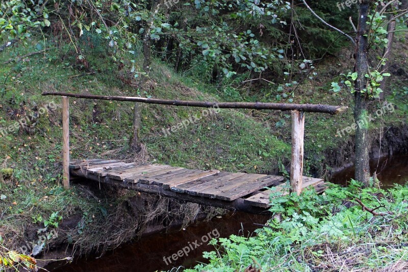 Wooden Bridge Web Wood Boardwalk Nature