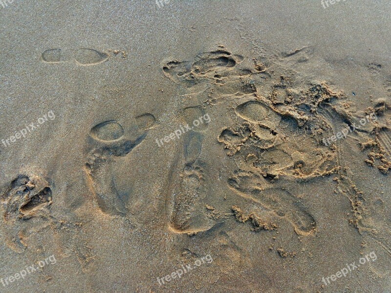 Foot Prints Sea Sand Beach