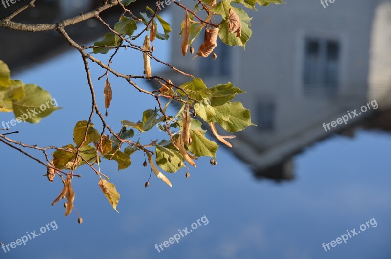 Autumn Water Still Nature Sweden