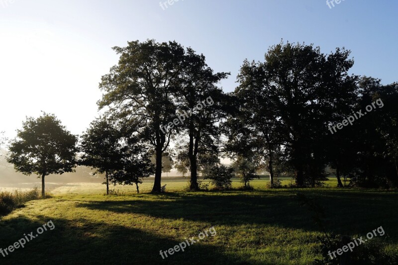 Sunrise Pasture Trees Summer Mood