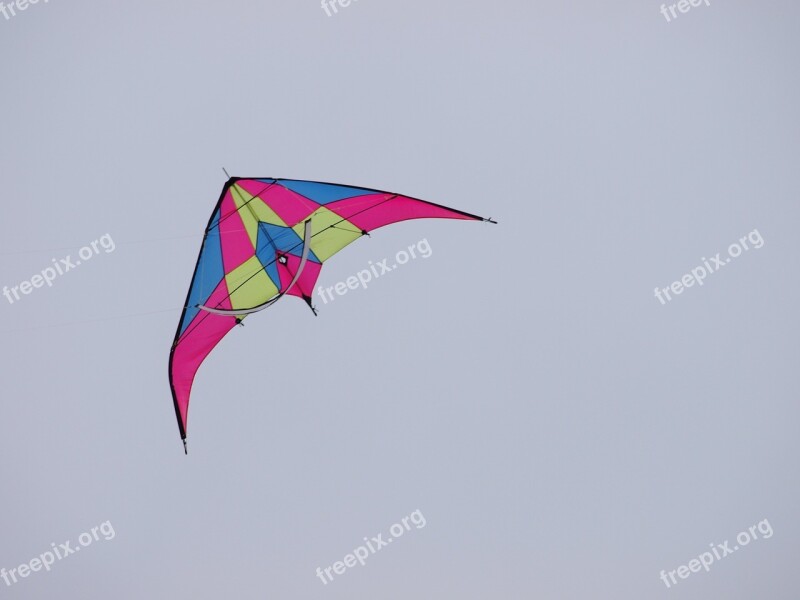 Steering Dragon Dragon Rising Flying Wind Pink