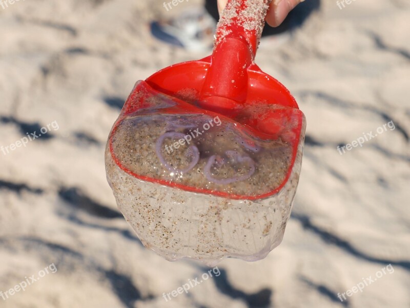 Jellyfish Beach Baltic Sea Blade Fishing