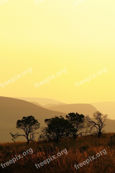 Tree Silhouette Mountains Sunset Yellow