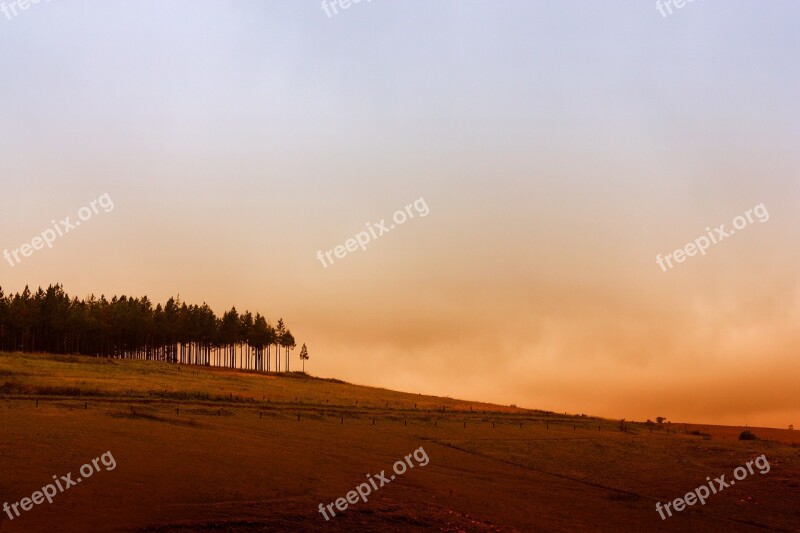 Hill Trees Landscape Country Rural