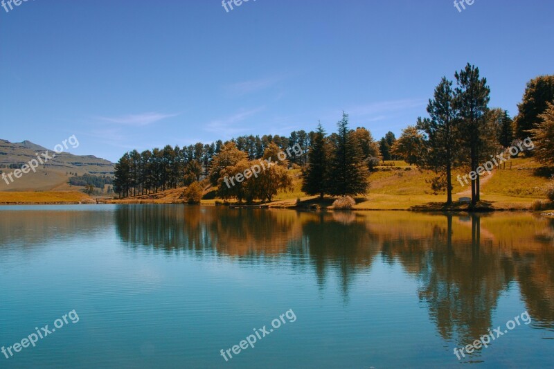 Castleburn Lake Drakensberg Mountains Pine Tree