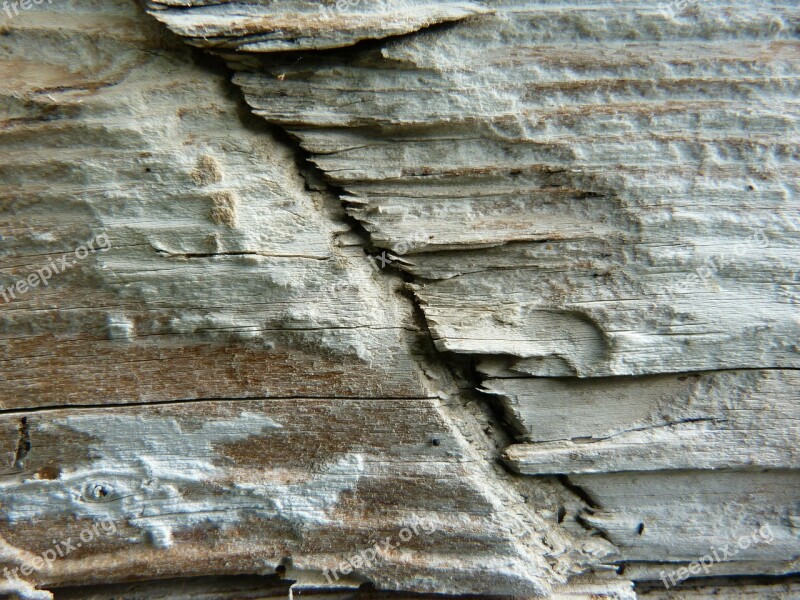 Wood Macro Detail Old Old Board