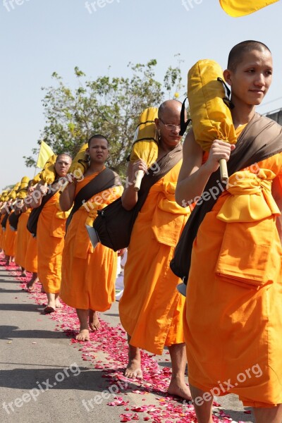 Buddhists Monks Buddhism Walk Orange