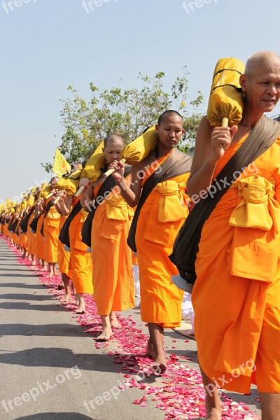 Buddhists Monks Buddhism Walk Orange