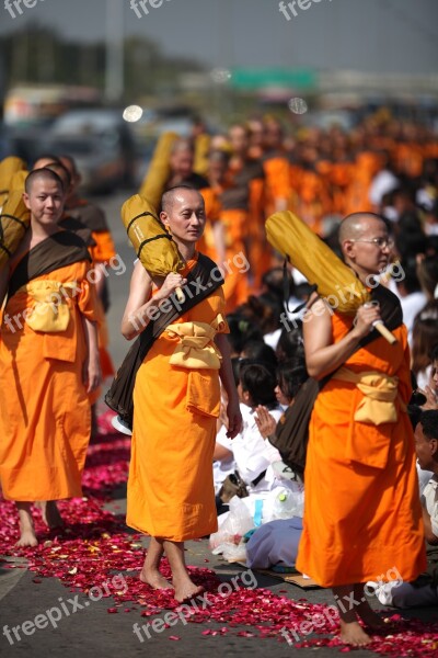 Buddhists Monks Buddhism Walk Orange