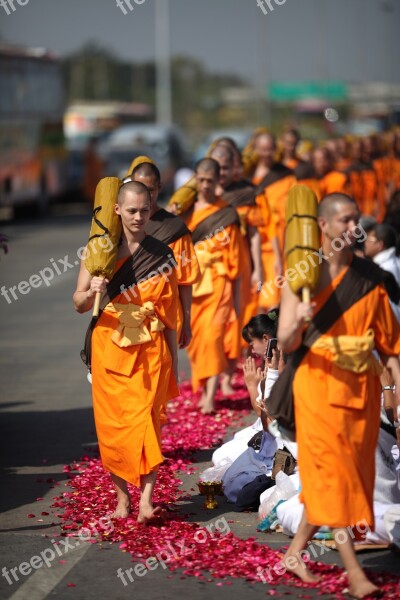 Buddhists Monks Buddhism Walk Orange