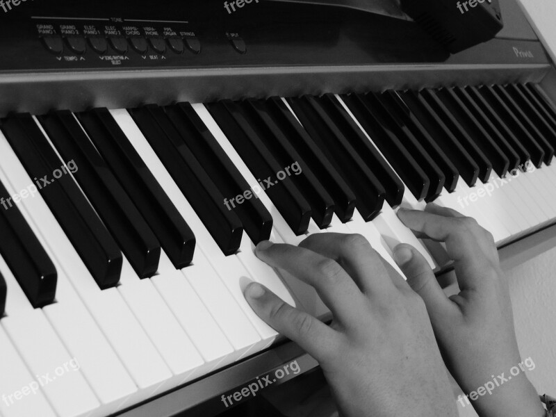 Piano Hands Keys Keyboard Free Photos