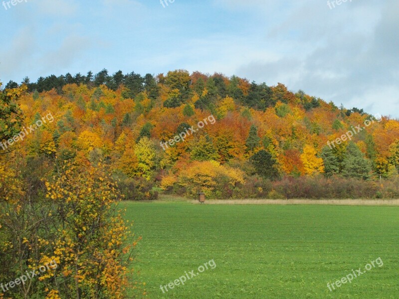 Autumn Colorful Golden Autumn Fall Foliage Autumn Forest