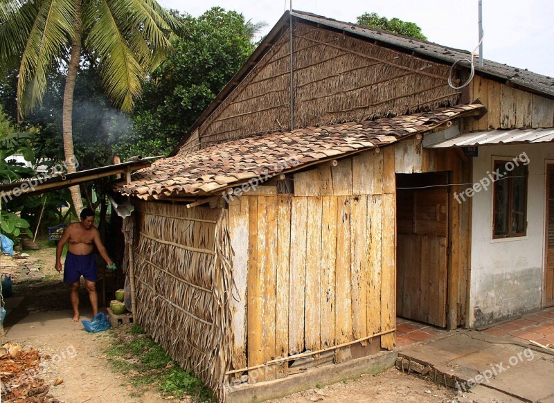 Slum Hut Poor Tropical Nature