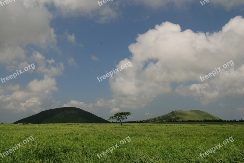 Jeju Island Ascension Meadow Free Photos