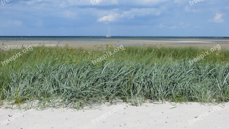 Dune Baltic Sea Sea Vacations Holidays