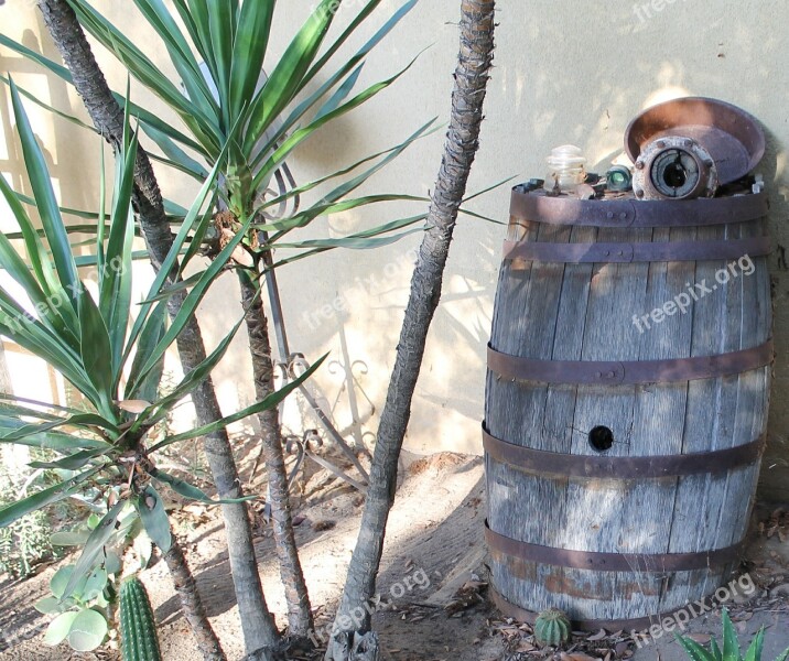 Yucca Barrel Rustic Antiques Garden