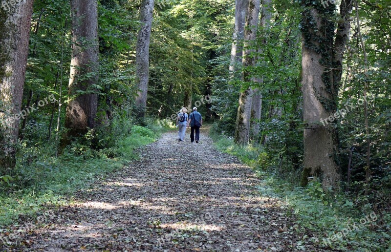 Leisure Hobby Hiking Walk Human