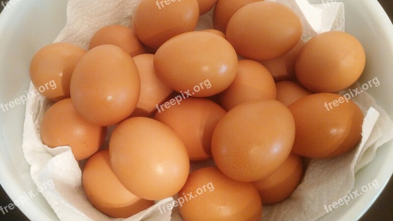 Eggs Food Egg Basket Shell Eggshell