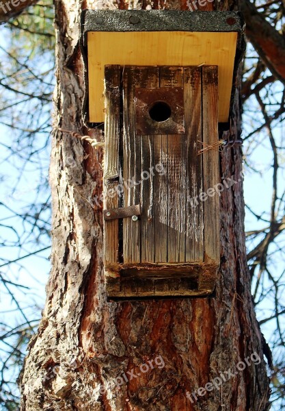 Aviary Nesting Box Einflugloch Animal Welfare Tree