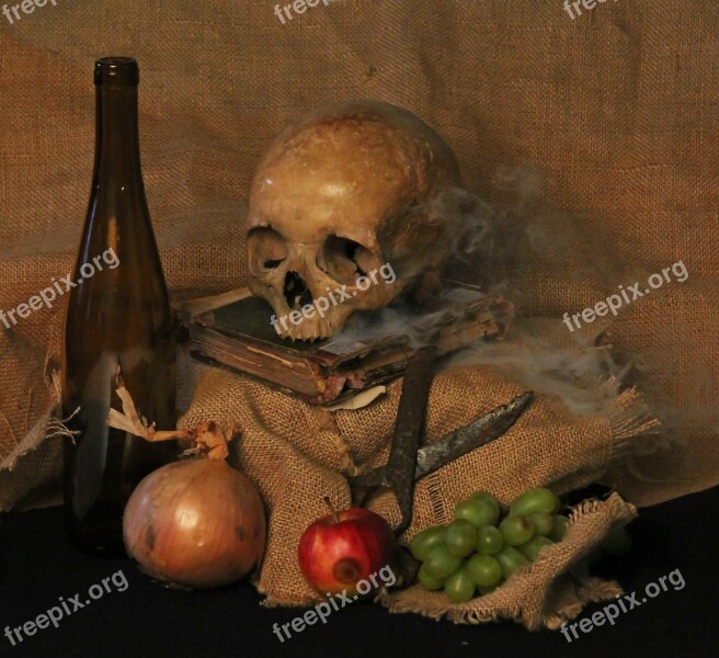 Still Life Skull Smoke Free Photos