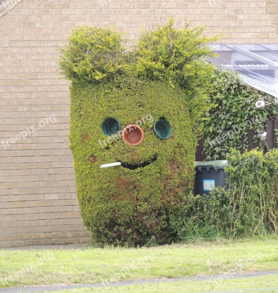 Hedge Funny Face Smoking Outdoor