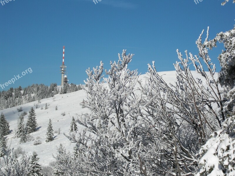 Snow Snow Landscape Black Forest Wintry Feldberg