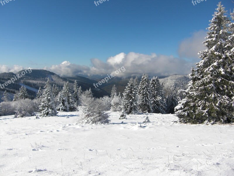 Snow Snow Landscape Black Forest Wintry Feldberg