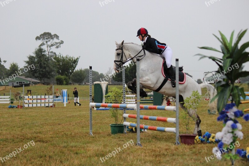 Horse Jumping Horse Jump Equestrian Animal