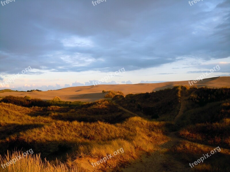 Dunes Sand Dunes Dune Landscape Evening Free Photos