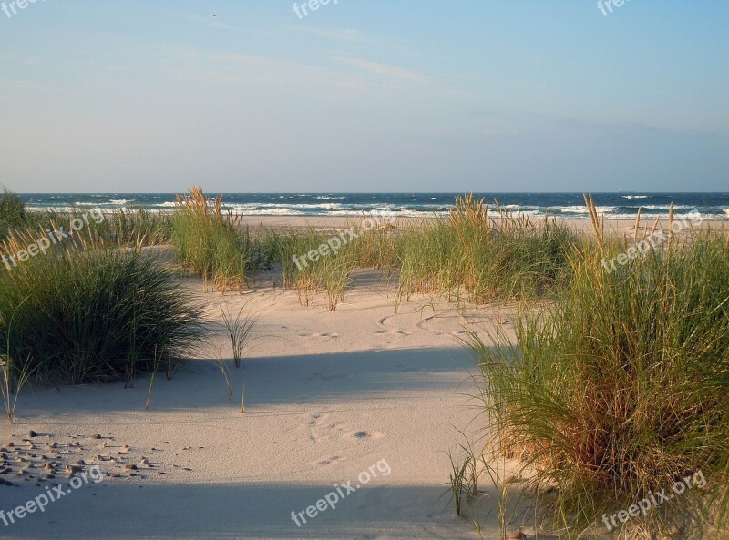 Dunes Sand Beach Sea Baltic Sea